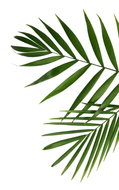 palm-right